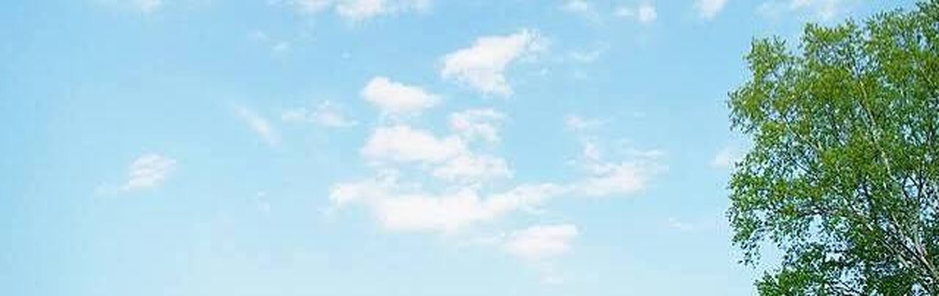 澄み渡る青空と右側に広がる新緑の樹木