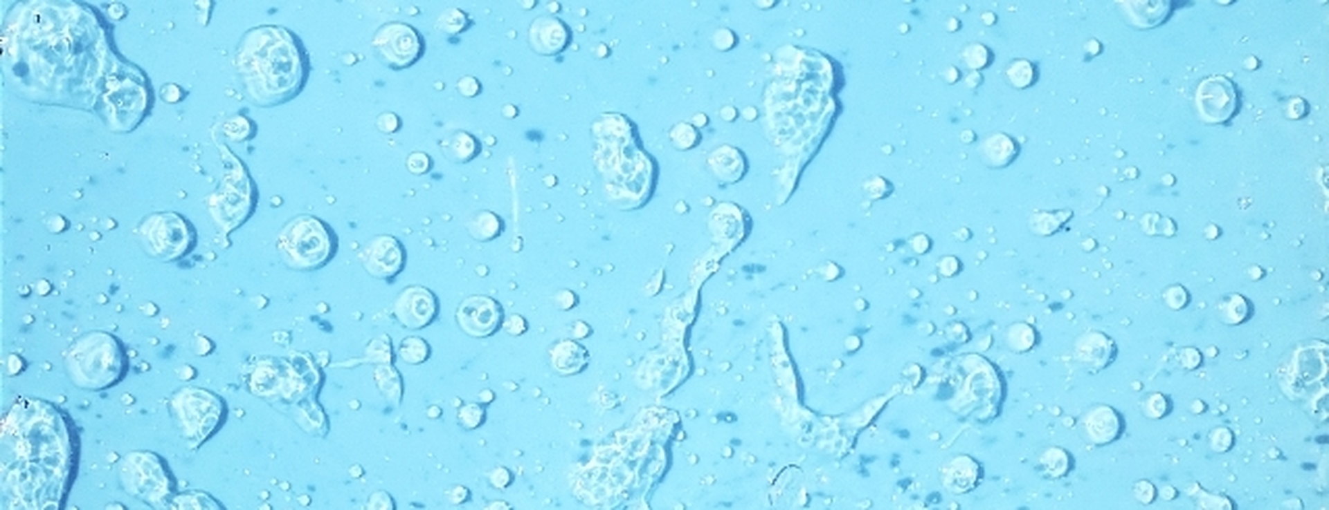 水の水滴
